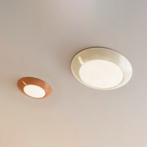 CL-001 Commercial Ceiling Lights & LED Ceiling Lamps for Professional Projects | Lighting Solutions