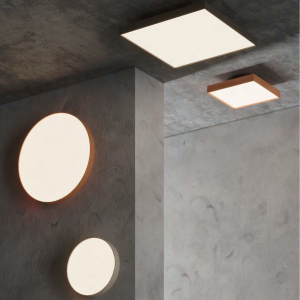 CL-002 Commercial Ceiling Lights & LED Ceiling Lamps for Professional Projects | Lighting Solutions