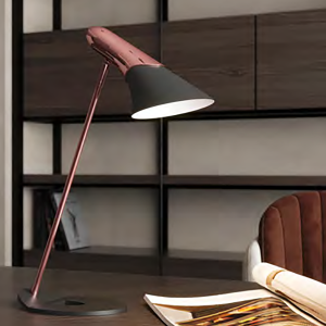 TL-009 Professional Table Lamps & LED Desk Lamps for Commercial Projects | B2B Lighting Solutions