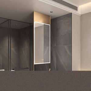 JB039B LEDVAST Stainless Steel Mirror Lamps Manufacturer | Wholesale Bathroom Mirror Lights OEM ODM