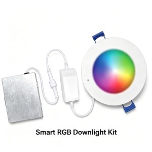 LVDL-024 Smart downlight Commercial LED Downlight Manufacturer | Retrofit, Ultra Slim, CCT Selectable & Smart Downlight Solutions