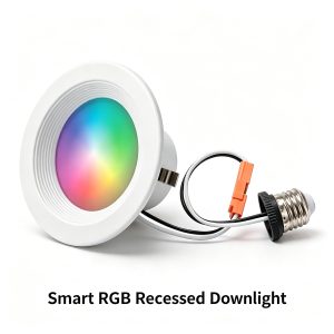 LVDL-025 Smart downlight Commercial LED Downlight Manufacturer | Retrofit, Ultra Slim, CCT Selectable & Smart Downlight Solutions