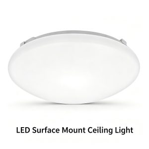 LVDL-026 Surface Mount fixture LED down light Modern Residential LED Lighting Fixtures Manufacturer