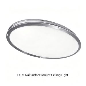LVDL-031 Surface Mount fixture LED down light Modern Residential LED Lighting Fixtures Manufacturer