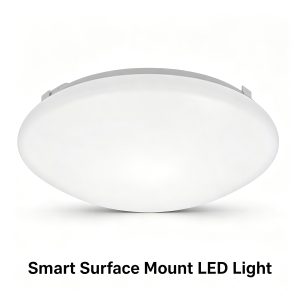 LVDL-036 Surface Mount fixture LED down light Modern Residential LED Lighting Fixtures Manufacturer