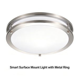 LVDL-037 Surface Mount fixture LED down light Modern Residential LED Lighting Fixtures Manufacturer