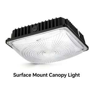 LVSML-001 LED Surface mount canopy light Industrial LED Lighting Manufacturer